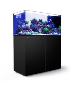 Reefer Peninsula 500 G2+